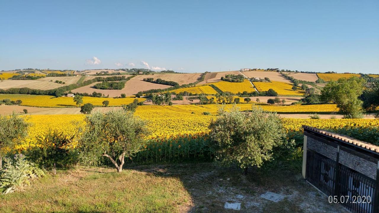 Agriturismo Vallelunga Ancona Exterior photo