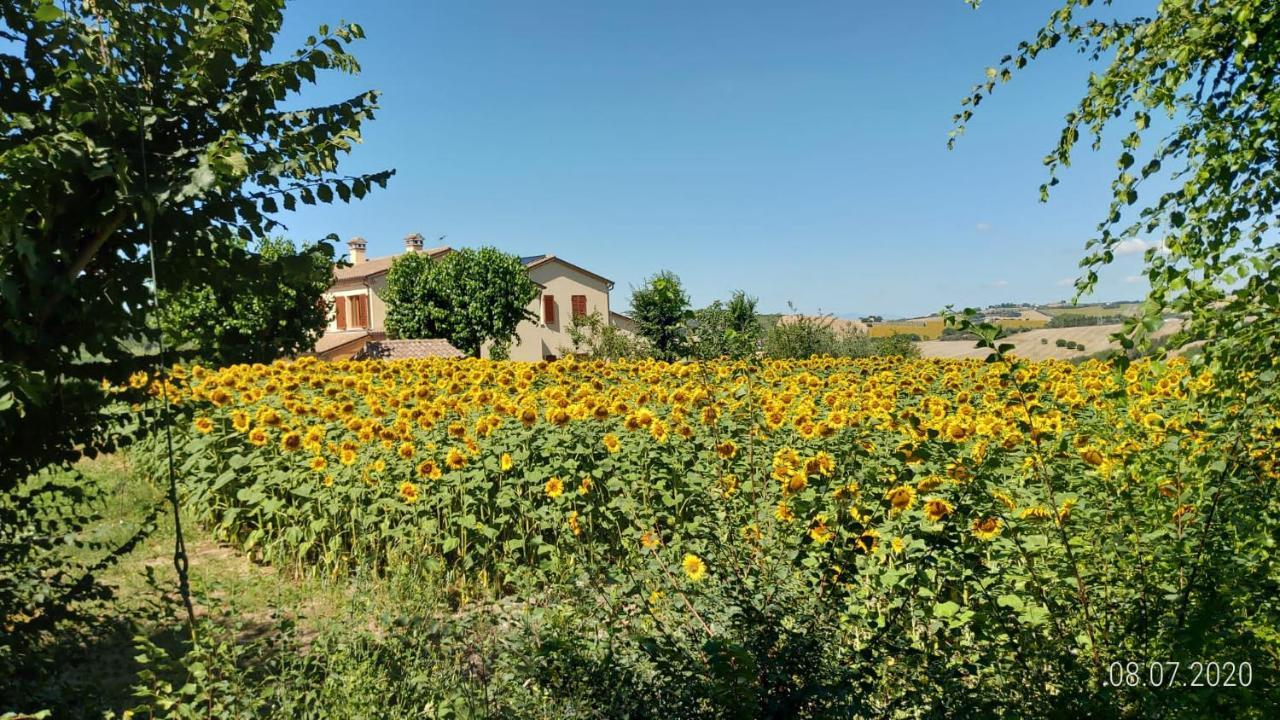 Agriturismo Vallelunga Ancona Exterior photo