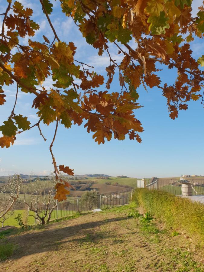 Agriturismo Vallelunga Ancona Exterior photo